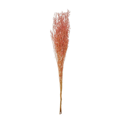 Dried Natural Love Grass