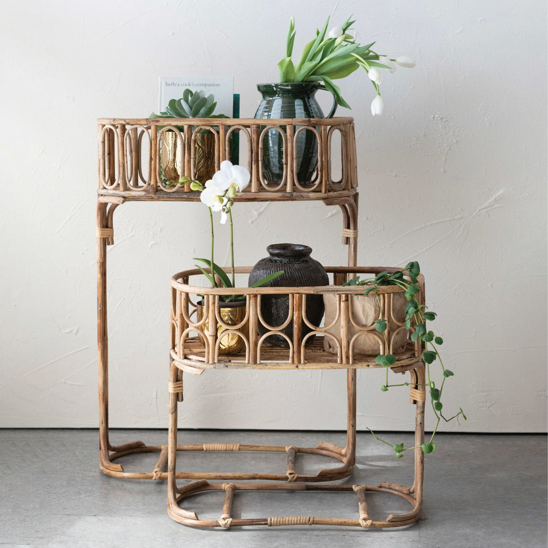 Cane Planter