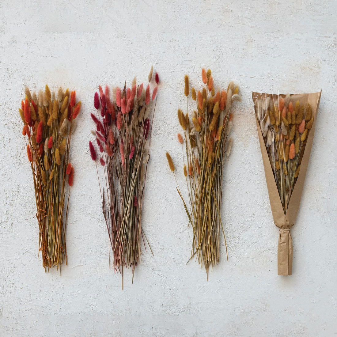 Dried Natural Bunny Tail Bunch