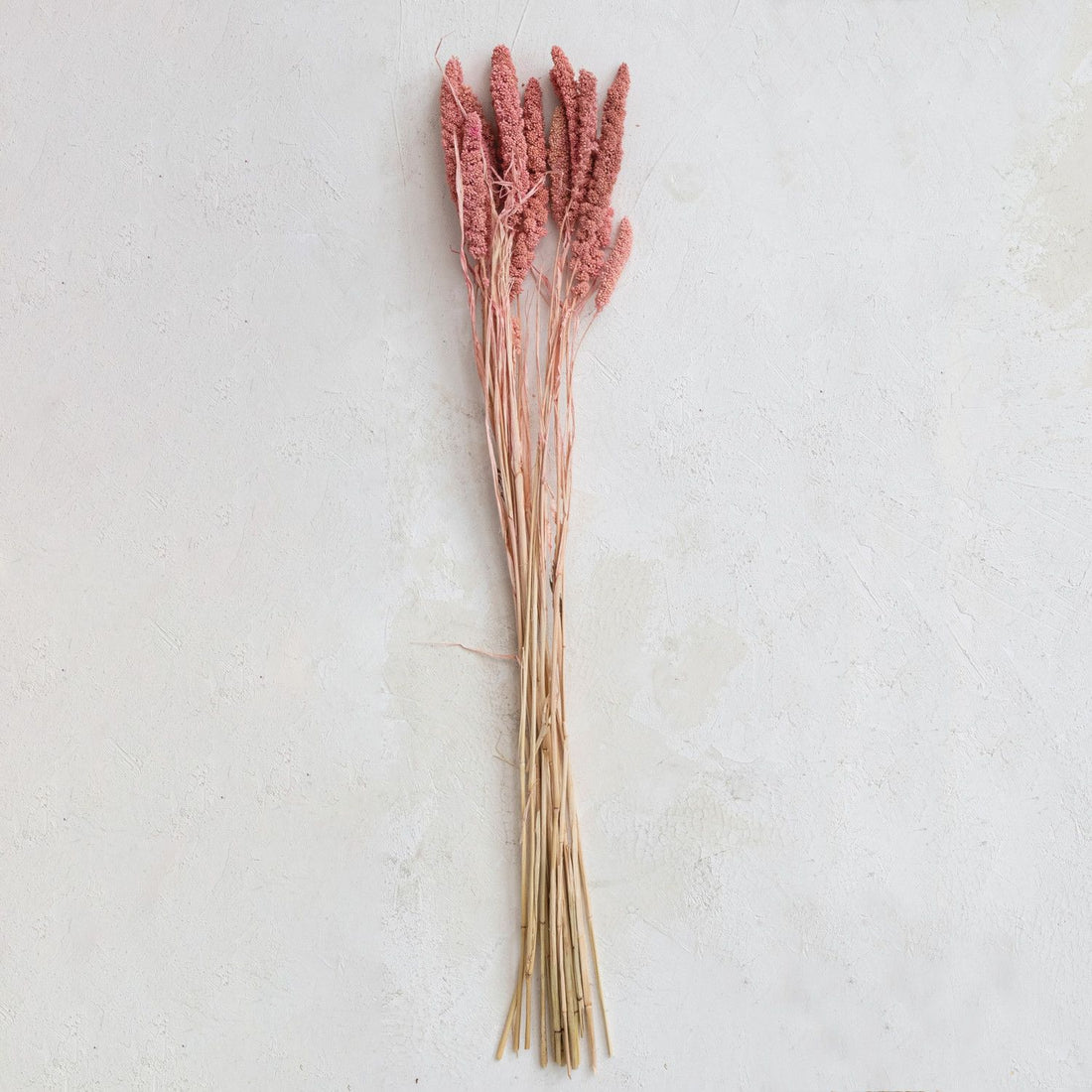 Dried Natural Foxtail Bunch