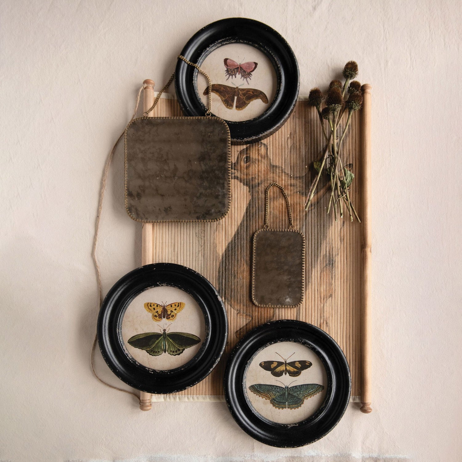 Moths/Butterflies Framed Wall Décor