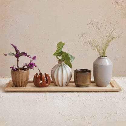 Wood Tray with 5 Stoneware Vases