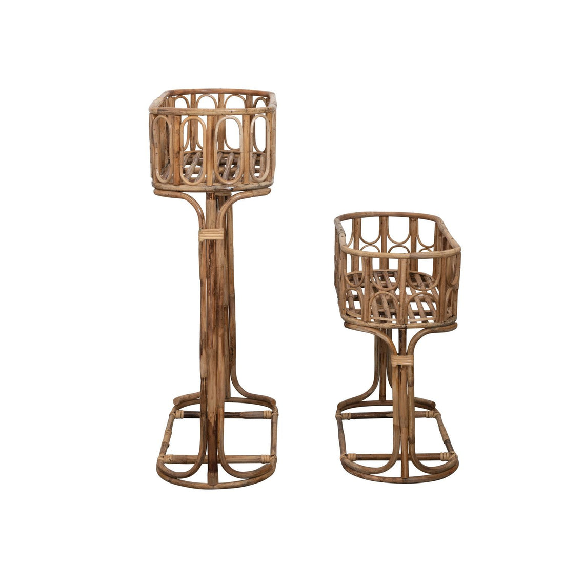 Cane Planter