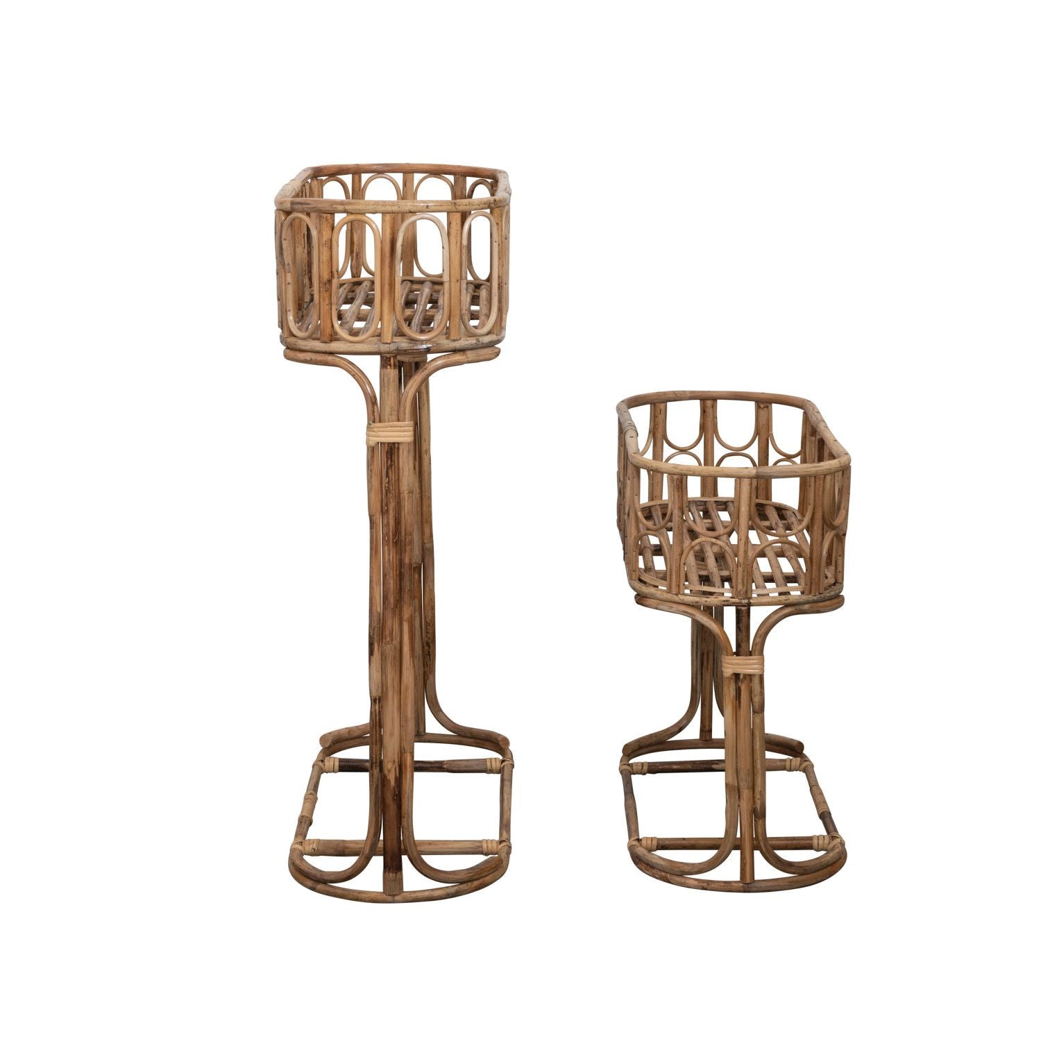 Cane Planter