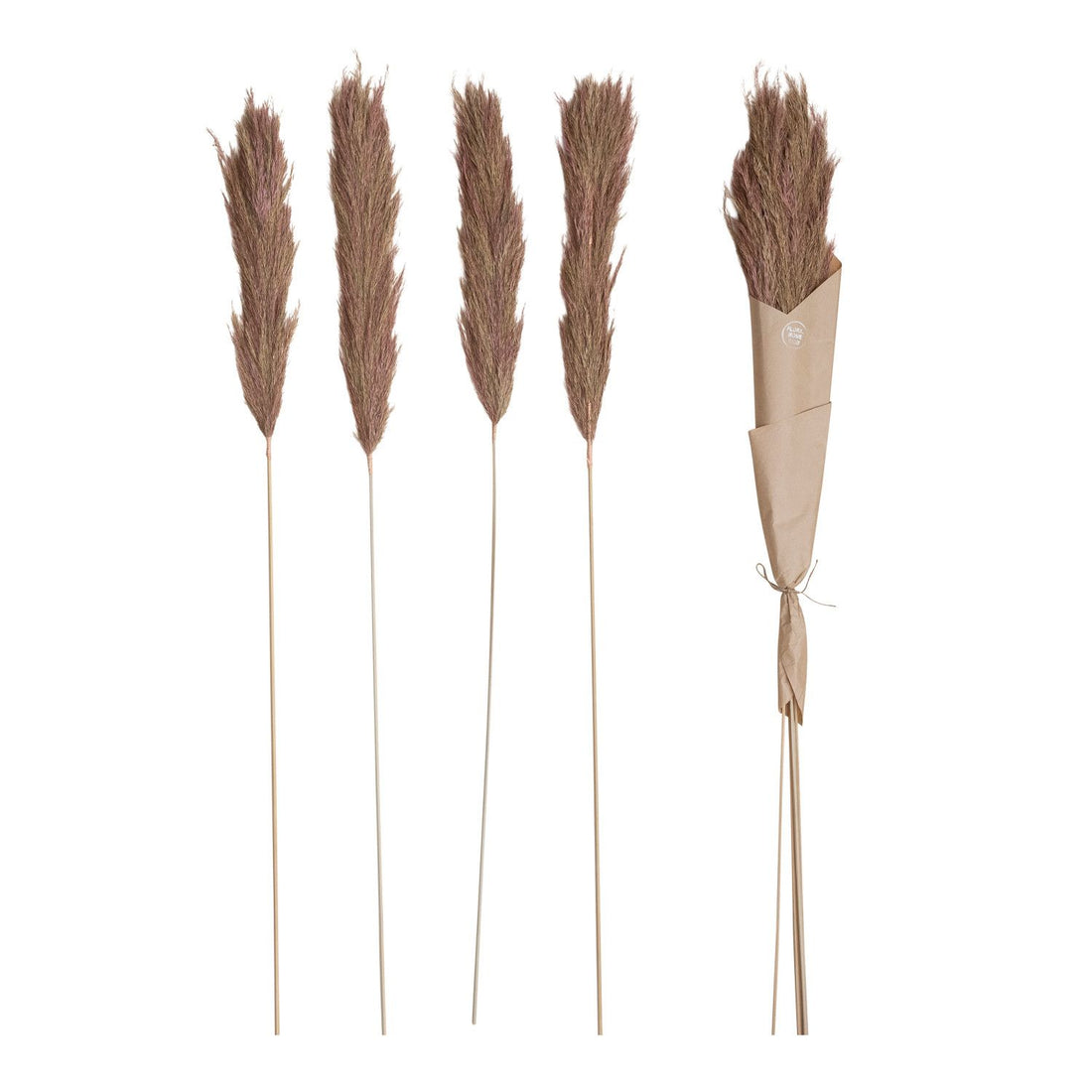 Dried Natural Velvet Grass Bunch
