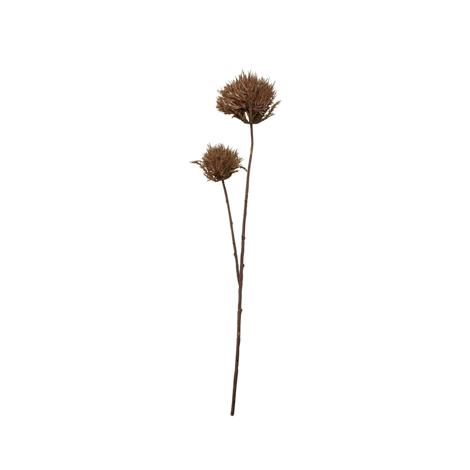 23-1/2"H Faux Thistle Flower Stem, Brown