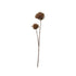 23-1/2"H Faux Thistle Flower Stem, Brown