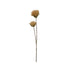 23-1/2"H Faux Thistle Flower Stem, Cream Color